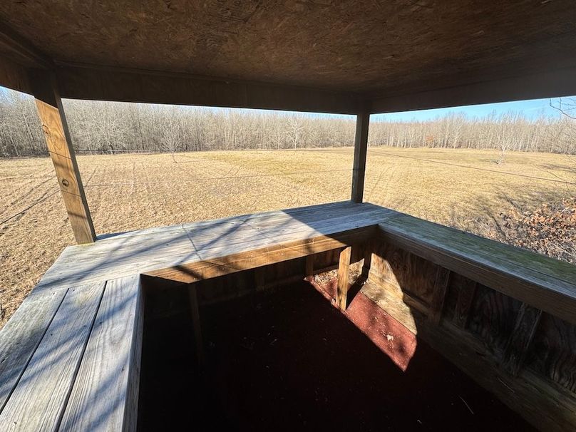 38 Hunting Cabin View