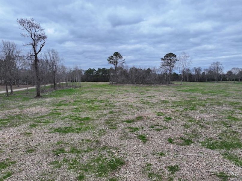 Copy of Copy of dji_fly_20260217_144008_0162_1771436901146_photo