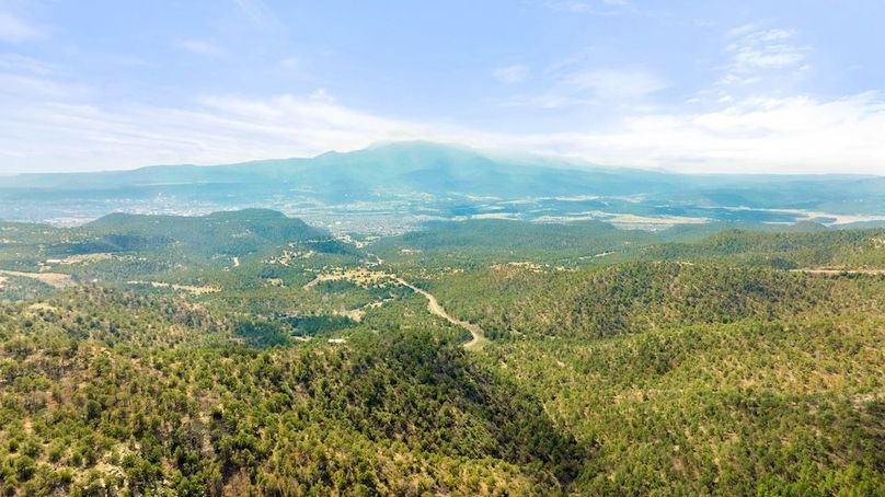 DJI_0197