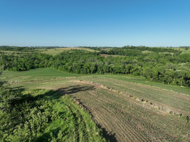 dji_fly_20260601_080514_534_1780319426494_photo