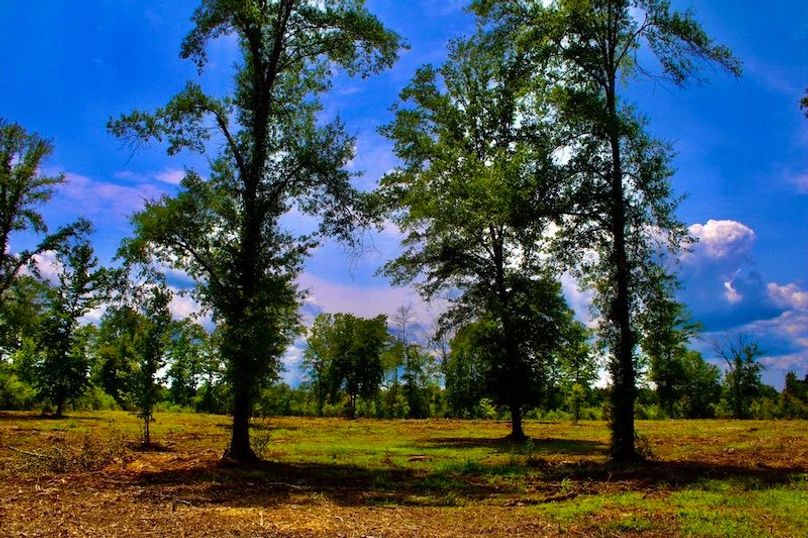 756E214B-CE7D-40F8-A6F3-7B341440A16A_1_105_c