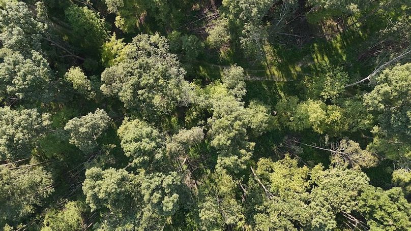 DJI_20250808181604_0804_D