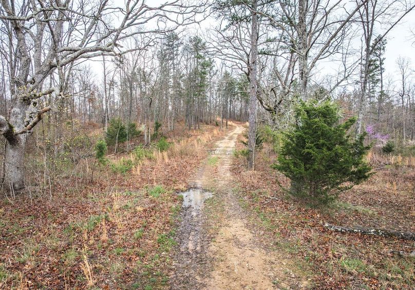 DJI_20250403123901_0598_D