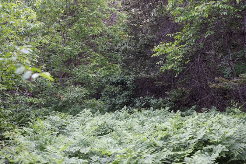 Mackinac20Fewins-6087