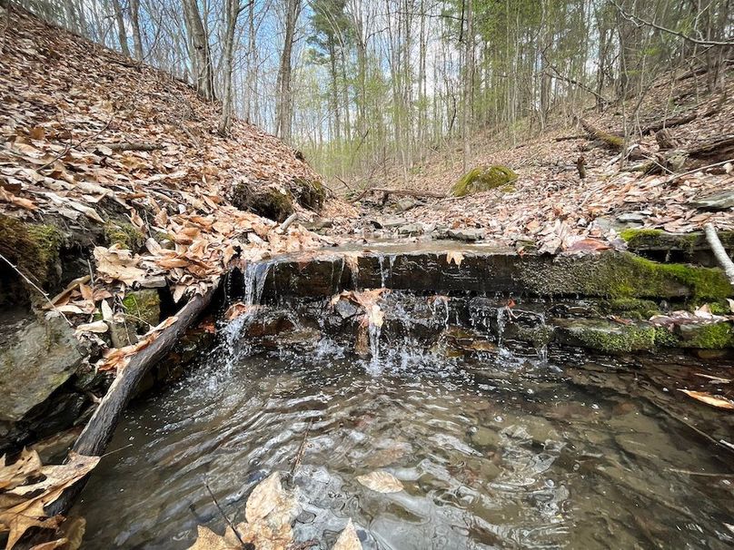 Tioga_76.65_Matyjas_Photos_1