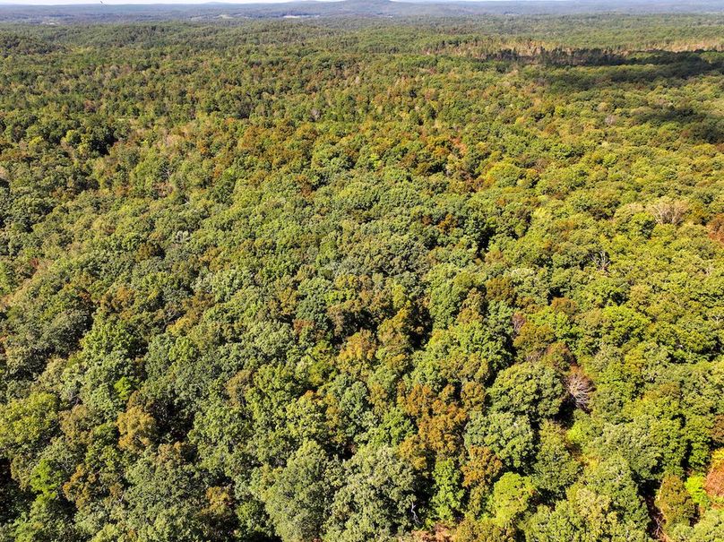 DJI_20240925112955_0221_D