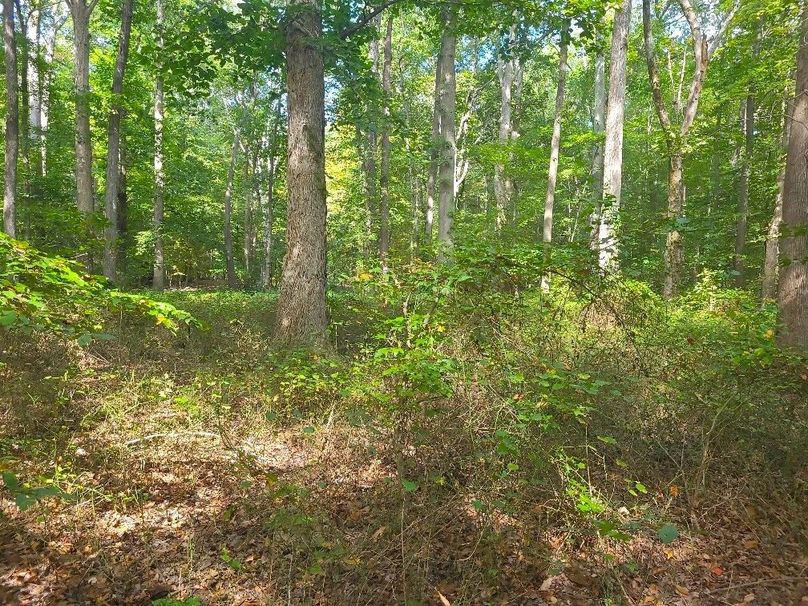 31.40ac_QAnnes_PIC_017