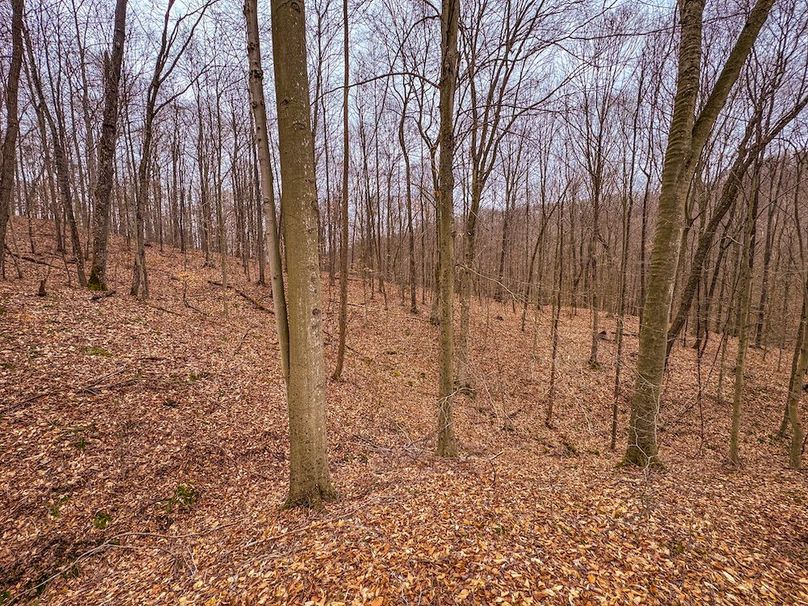 Tyler, WV 90 AC Burkhart-42