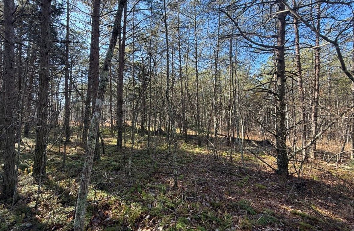 005 view of the gentle terrain which makes up almost the entire property