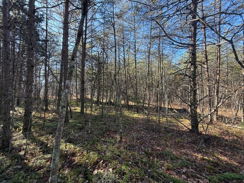 005 view of the gentle terrain which makes up almost the entire property
