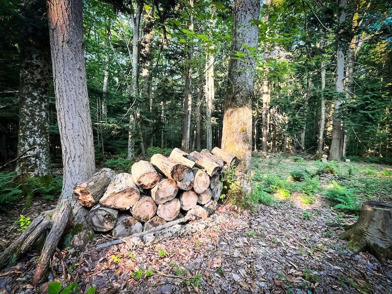 Oswego_25.66_Pettit_Photos_7