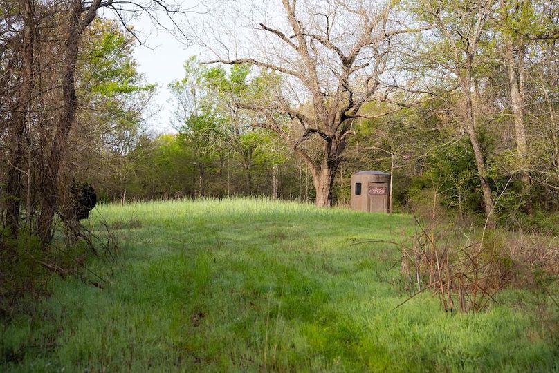 Okfuskee OK 615.38 Pro Photo-91