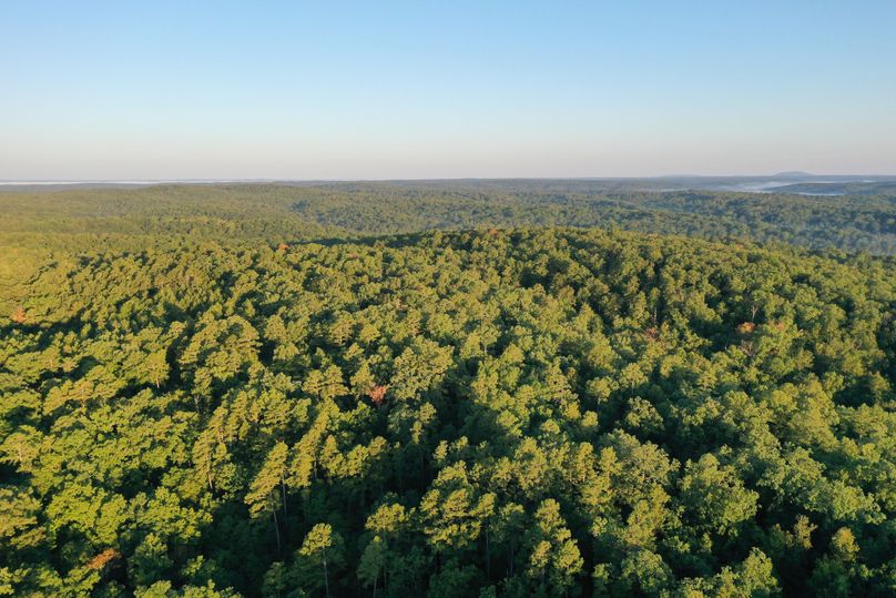 DJI_0675