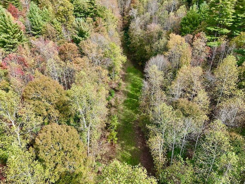 DJI_20251024133907_0108_D