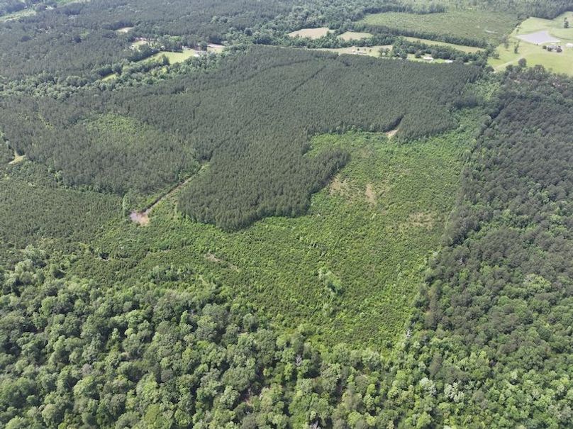 dji_fly_20260519_134202_0006_1779286793281_photo