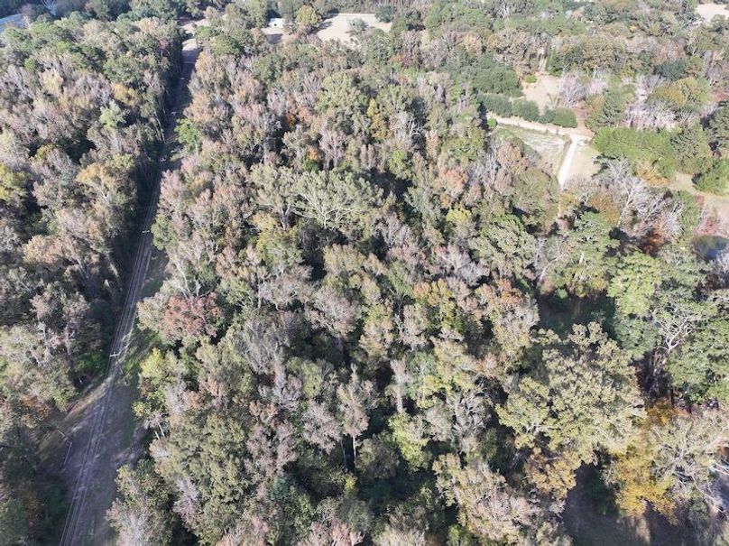 dji_fly_20251118_151336_0742_1763560714398_photo