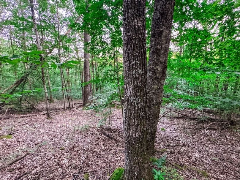 Webster, WV 42 AC Barger-18