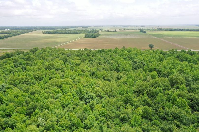 DJI_0856