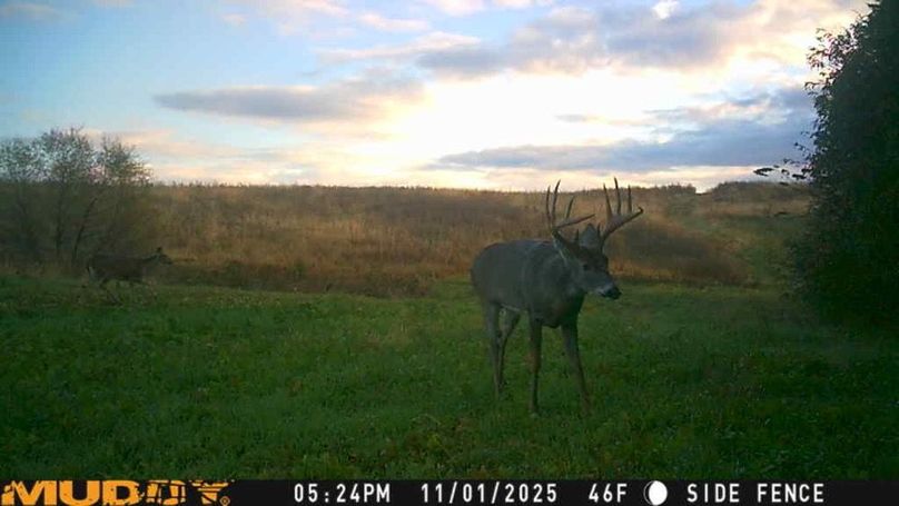 25110117242701004281_ColorizationType.none