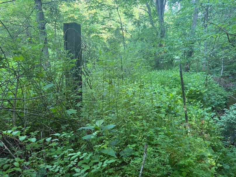011 old corner post at the old homestead in north part of the property-2