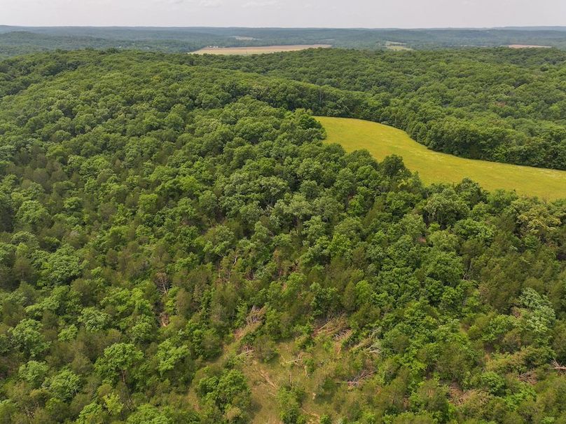 DJI_20250602135100_0389_D