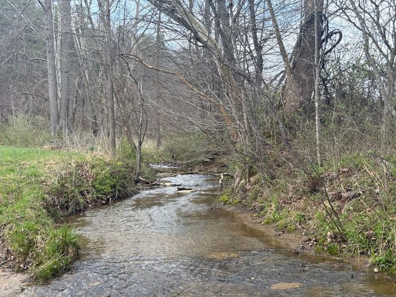 012 another view of the blue line stream flowing through the property