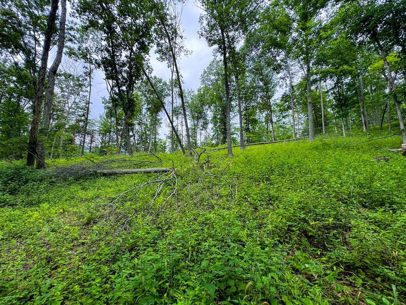 Tyler, WV 46 Lemasters -24