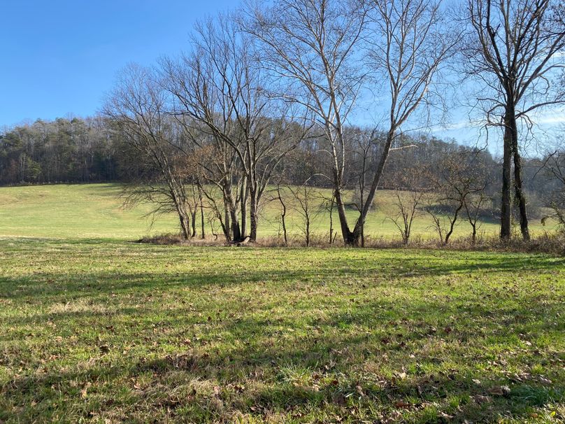 028 some really nice area for cutting hay or pasturing copy