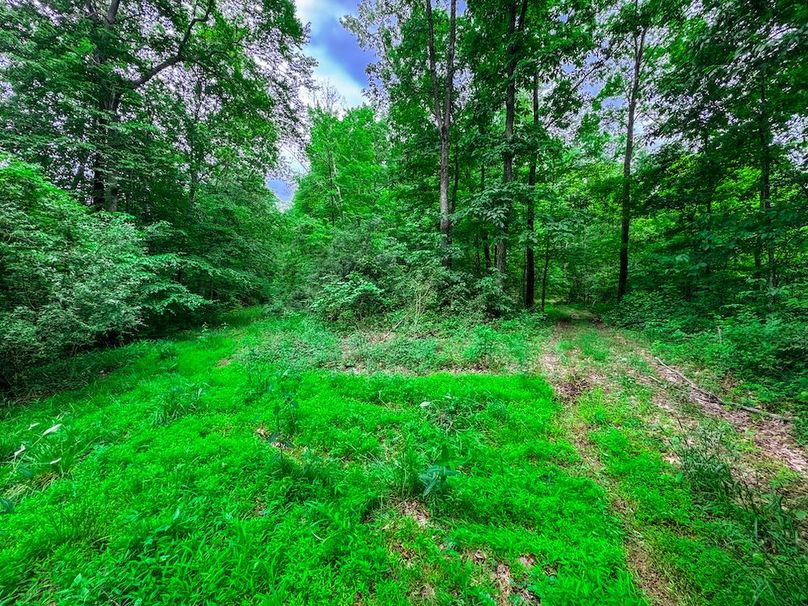 Tyler, WV 313.87 AC -52