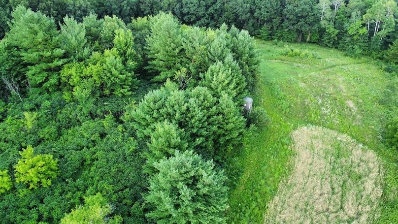 dji_fly_20240715_181758_672_1721085486598_photo_optimized
