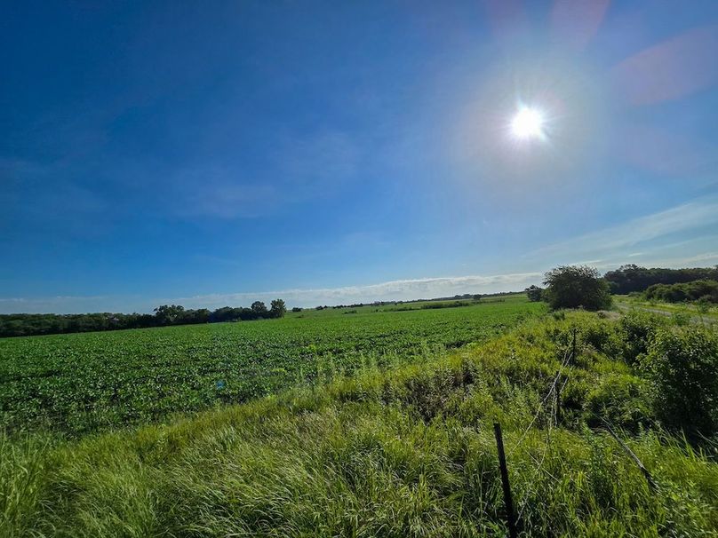 Copy of 20250729_085337