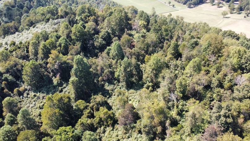 dji_fly_20250910_144512_193_1757539810041_photo_optimized