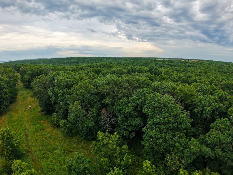 DJI_20250630071218_0302_D
