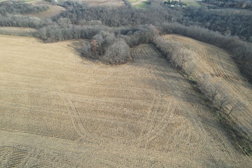 DJI_0008
