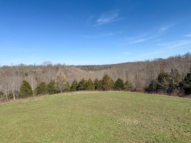 Fleming Petry 115-45