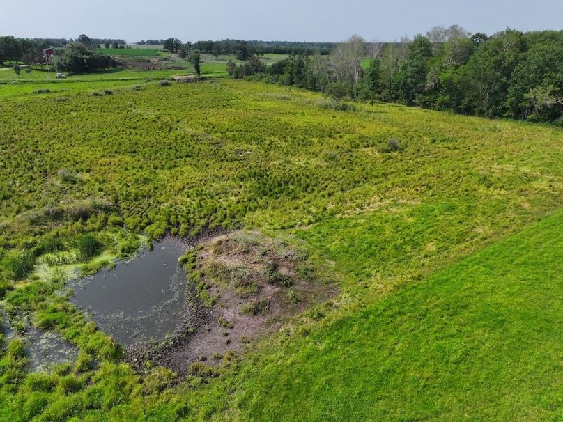 dji_fly_20240731_112656_0105_1722518323045_photo