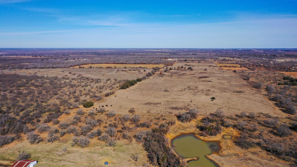 North Texas Homesite With Acreage Whitetail Properties