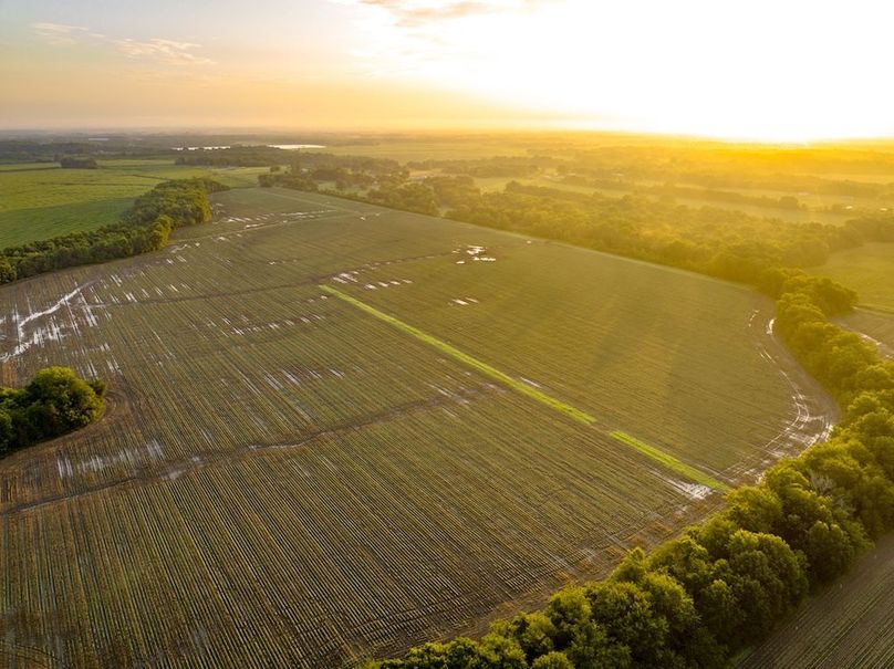 Copy of Noxubee 40 Tract 2-06