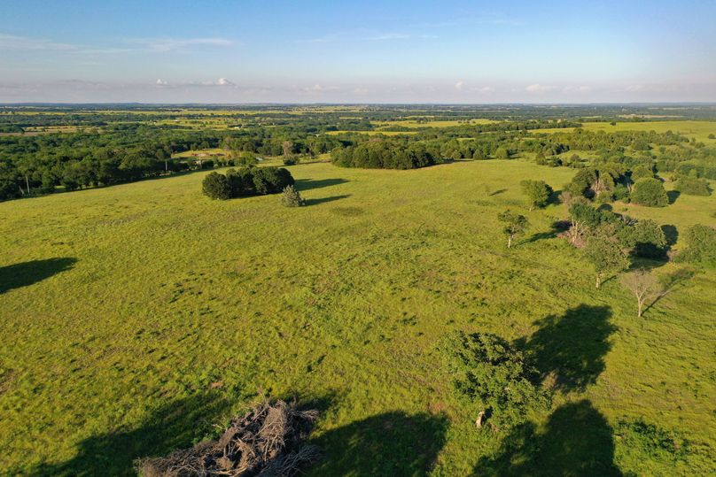 DJI_0559