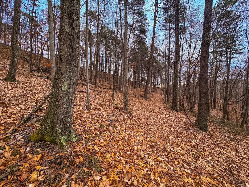 Ritchie, WV 14.081 AC Currey-26