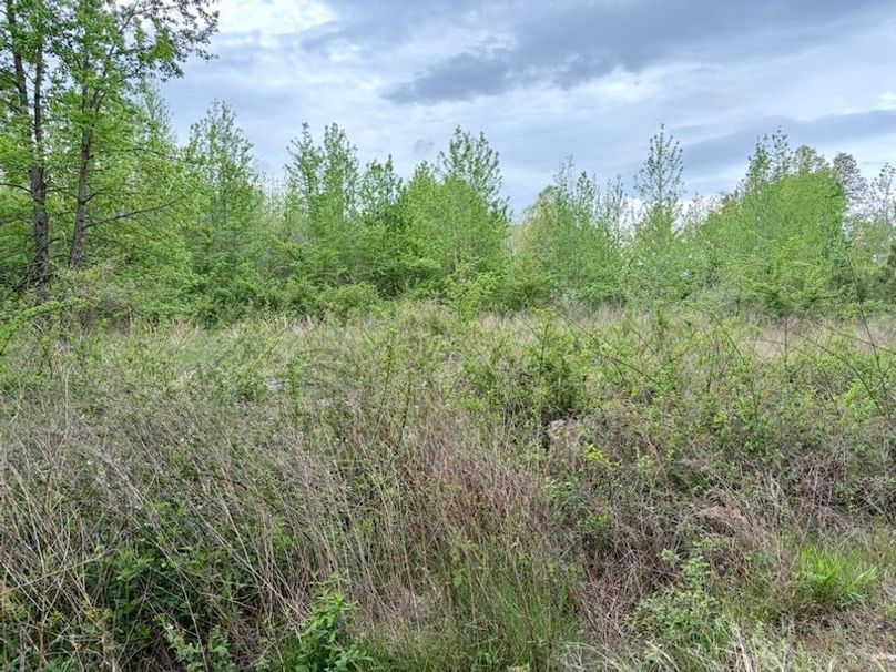 A24C4DAF-F9A2-40AF-A0FF-FD19D0F0D861_1_105_c