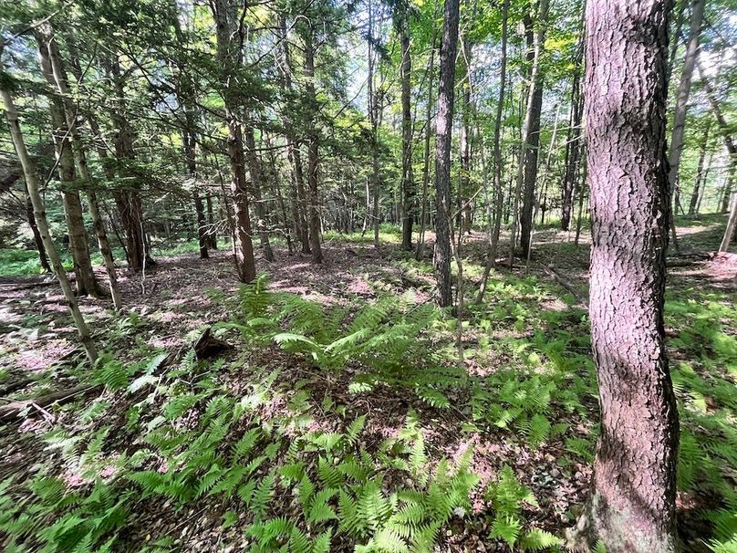 Jefferson_260.3_ Lobach_Photos_30