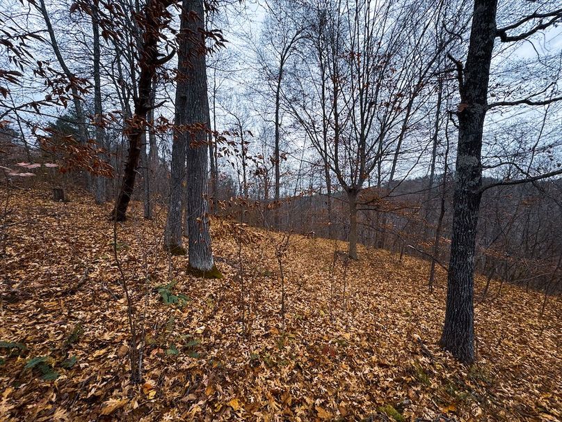 Ritchie, WV 100 AC Harper-13