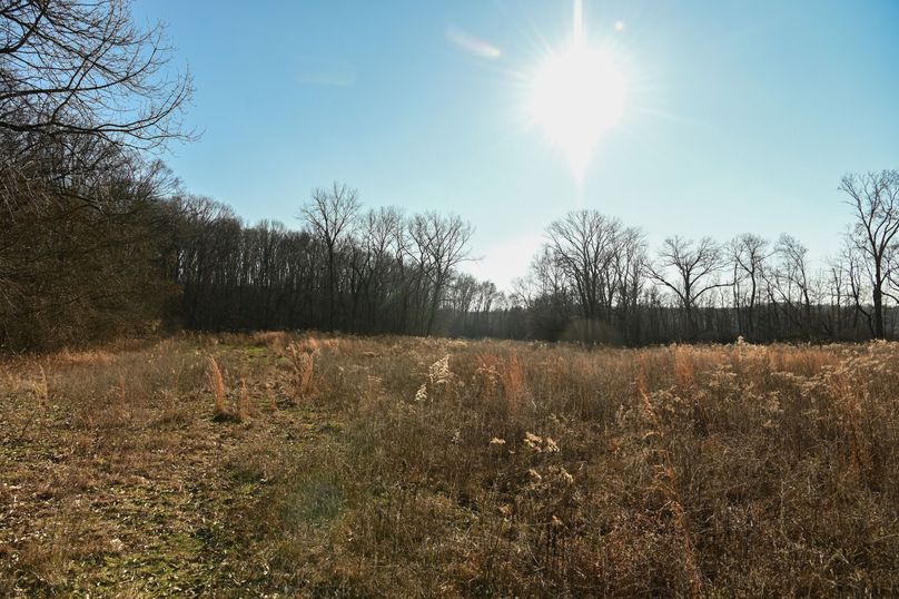 vandalia 450 (2)-688