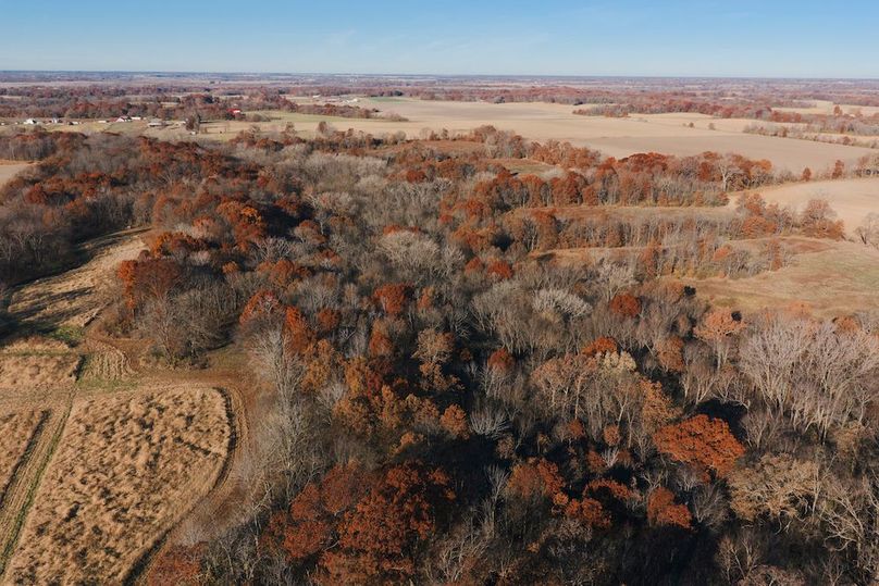 DJI_20251116084157_0130_D