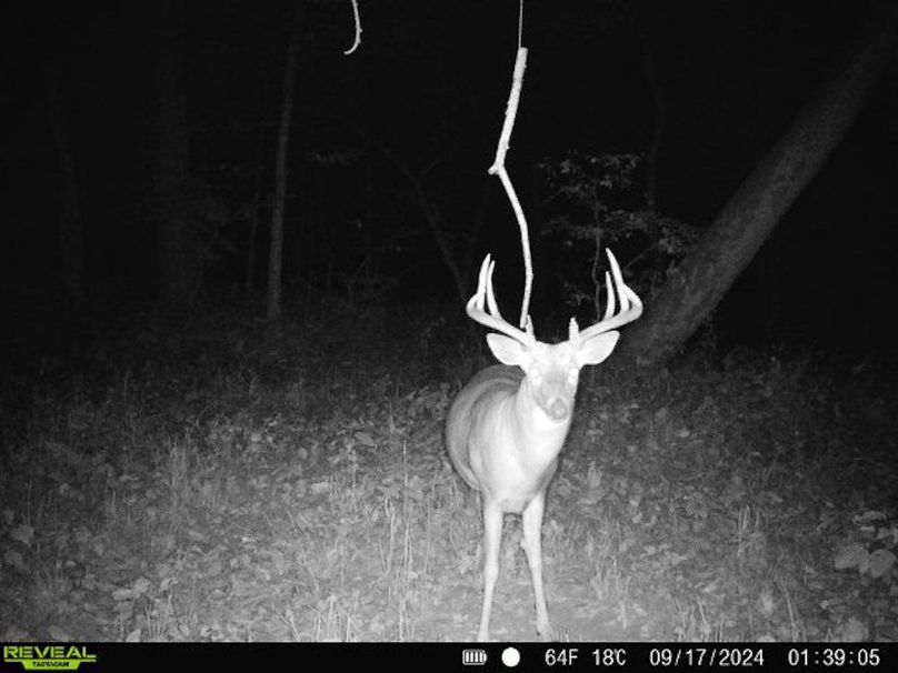 860322062494817-50-4-09172024013904-V-W1000410