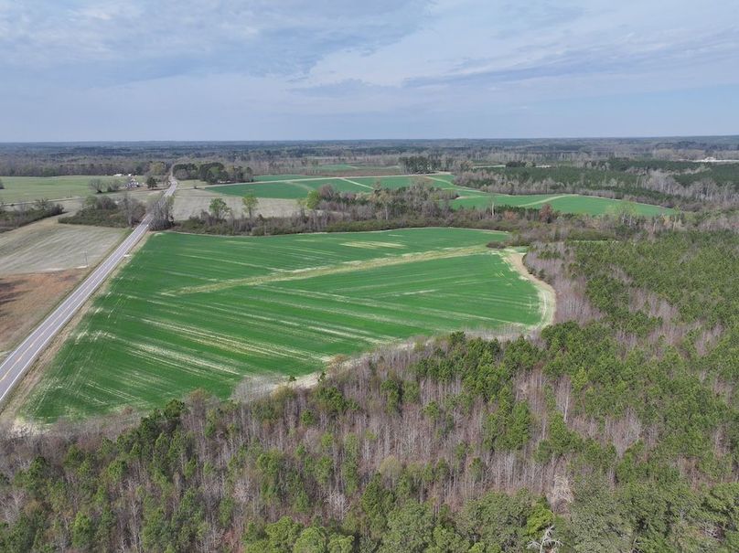 DJI_20260303063848_0556_D