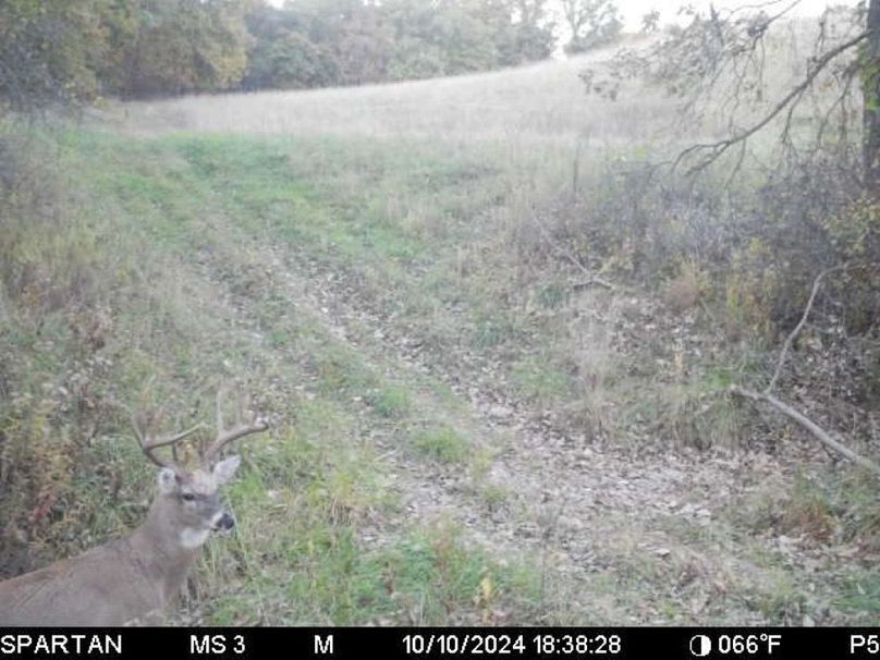 File Oct 10 2024, 10 09 14 PM