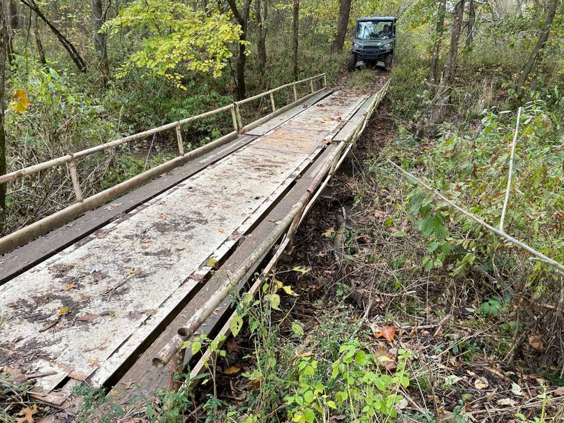 pics from late 2021 and early 2022. New plots being planted in Aug 2023 for new pics (26)