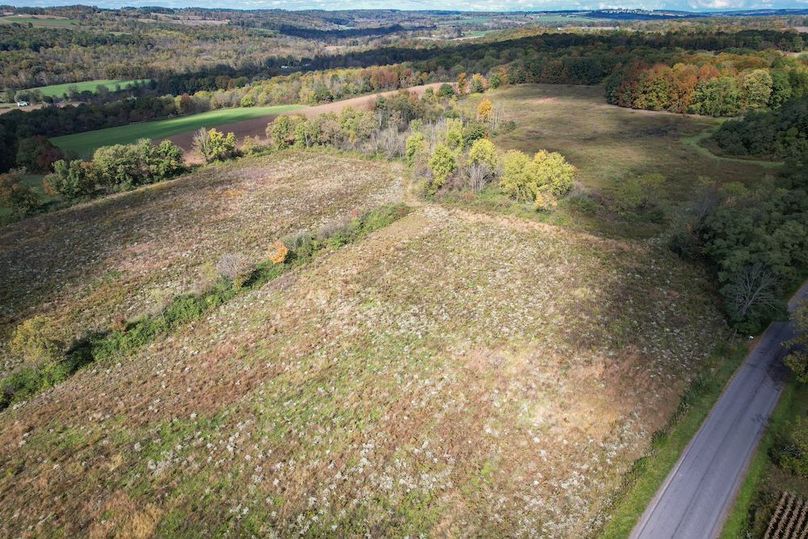 Tompkins_30.32_Hildreth_Estate_Phoros_20